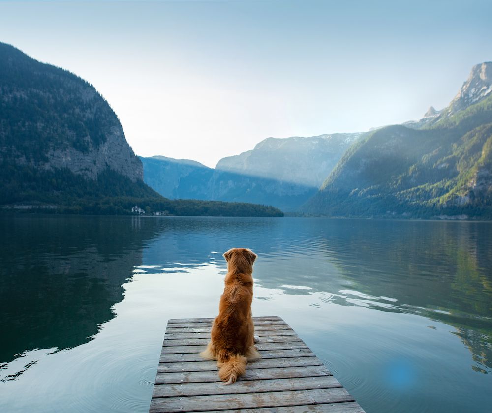 Independent Thinkers